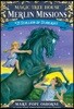 Stallion by Starlight