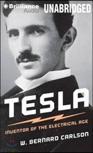 Tesla: Inventor of the Electrical Age