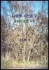 나종혁 사진집 2