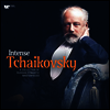 베스트 차이코프스키 (Intense Tchaikovsky - A Collection of Russian Romantic Masterpieces) (180g)(LP) - 여러 아티스트