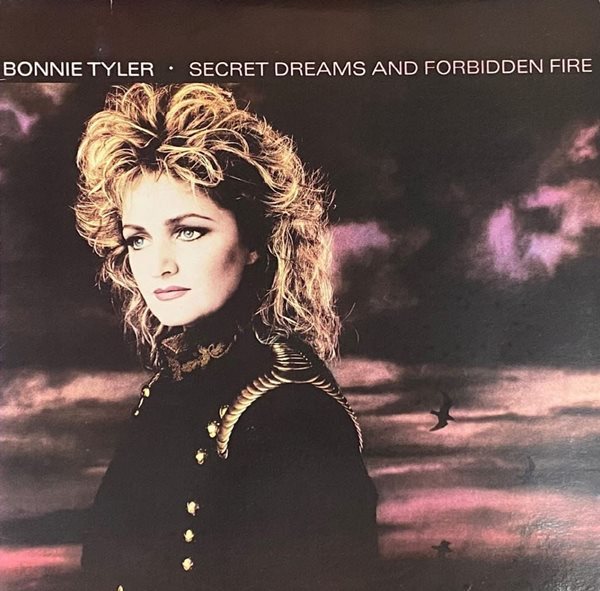 [LP] 보니 타일러 - Bonnie Tyler - Secret Dreams And Forbidden Fire LP [성음-라이센스반]
