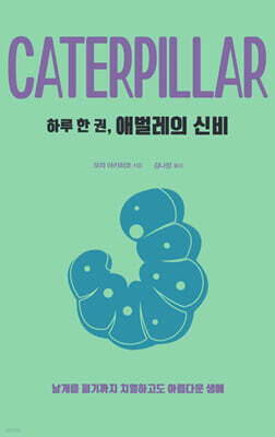 하루 한 권, 애벌레의 신비 (큰글자도서)