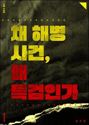 채 해병 사건, 왜 특검인가