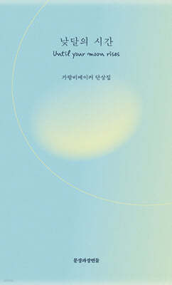 낮달의 시간