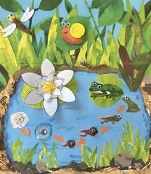 [개구리 한살이] 개굴개굴 프랭클린 독후활동 어린이 자연관찰 만들기  DIY키트 홈문센 엄마표미술놀이