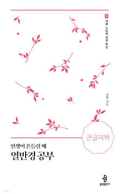 인생이 흔들릴 때 열반경 공부 (큰글자책)