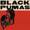 Black Pumas (블랙 푸마스) - 1집 Black Pumas [골드 앤 레드블랙 마블 컬러 2LP]