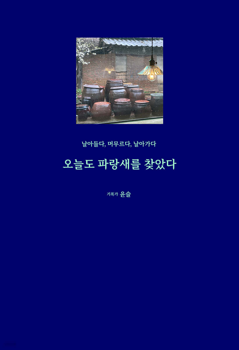 오늘도 파랑새를 찾았다