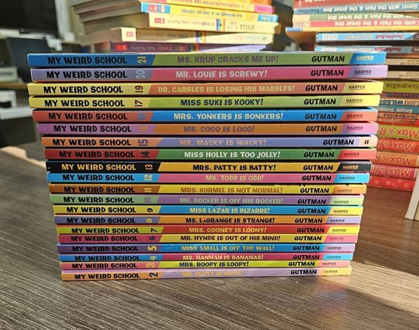 My Weird School 20-Book