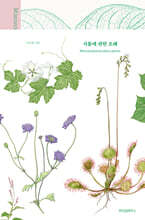 식물에 관한 오해