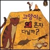 고양이는 왜 혼자 다닐까?