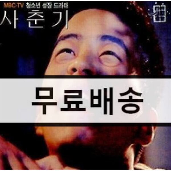 드라마 사춘기 ost