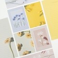 핑크풋 1000건물사이피어난꽃편지지(랜덤발송)