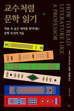 교수처럼 문학 읽기