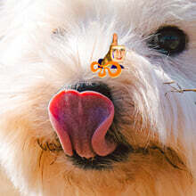 오티스 림 (Otis Lim) - Playground