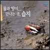 물과 땅이 만나는 곳, 습지