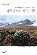 북극 툰드라에 피는 꽃