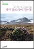 북극 툰드라에 피는 꽃