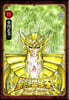 聖鬪士星矢 Final Edition 11