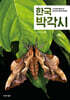 한국 박각시