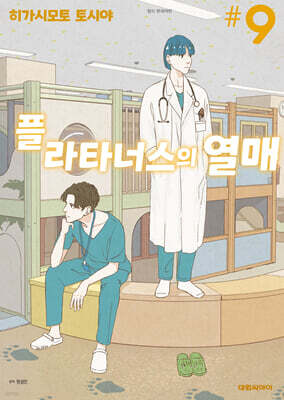 플라타너스의 열매 9