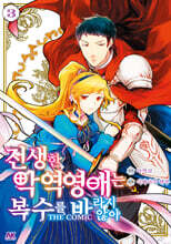 전생한 악역영애는 복수를 바라지 않아 3