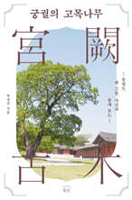 궁궐의 고목나무