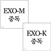 EXO-K(엑소케이) & EXO-M(엑소엠) 미니앨범 2집 : 중독 [SET상품]