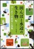 田んぼと水邊の生き物 はじめての飼育と採
