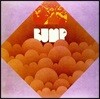 Bump - Bump [LP]