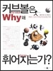 커브볼은 왜 휘어지는가?