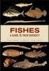 Fishes: A Guide to Their Diversity