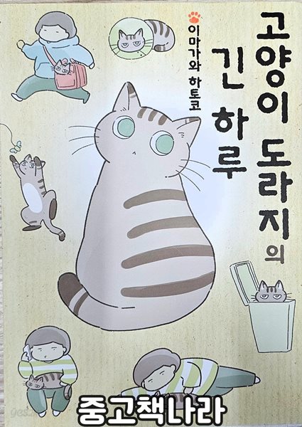 고양이 도라지의 긴 하루