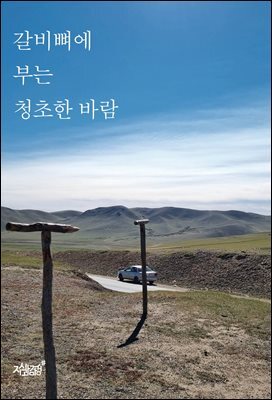 갈비뼈에 부는 청초한 바람