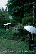 여름을 열어보니 이야기가 웅크리고 있었지