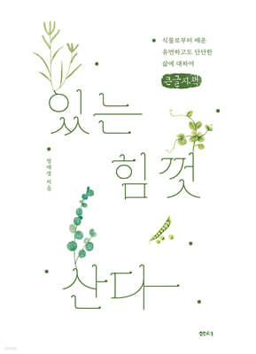 있는 힘껏 산다 (큰글자책)