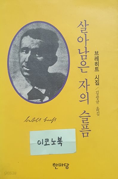 살아남은 자의 슬픔 (베르톨트 브레히트 시집)