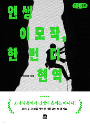 인생이모작, 한 번 더 현역(큰글자책)