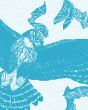 새의 시간: 날아오르고 깨어나는 밤과 낮