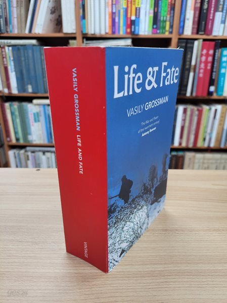 Life and Fate (Vintage Classics) (Paperback)