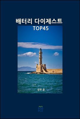 배터리 다이제스트 TOP45