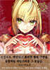 愛-와다 아루코 Fate ART WORKS-