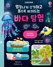 엄청나게 신기하고 볼수록 빠져드는 바다 탐험