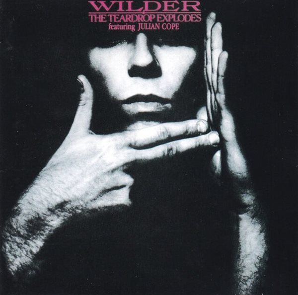 [일본반] The Teardrop Explodes - Wilder