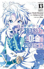 환생했는데 제7왕자라 내맘대로 마술을 연마합니다 13