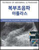 복부초음파 아틀라스