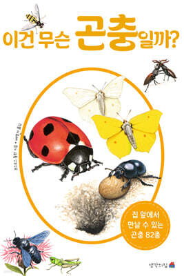 이건 무슨 곤충일까?
