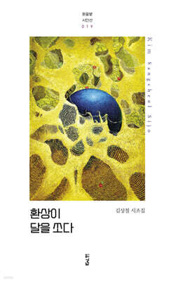 환상이 달을 쏘다