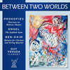 Guy Yehuda 가이 예후다 클라리넷 연주집 (Between Two Worlds)