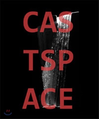 주조된 공간 cast space